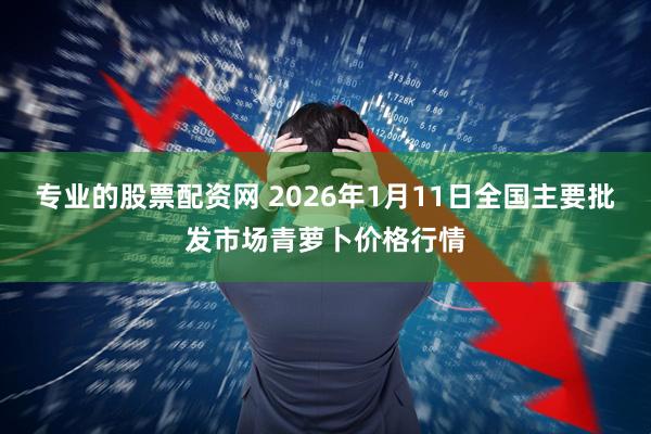 专业的股票配资网 2026年1月11日全国主要批发市场青萝卜价格行情
